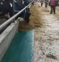 Кормовой стол